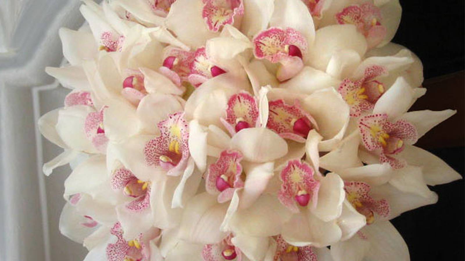 Attorneys File Brief In Appeal For Florist Who Refused Gay Couple