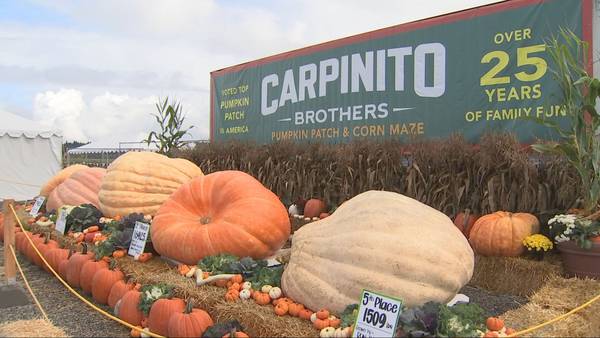 Around the Sound: Carpinito Brothers looks to be one stop shop for your fall fix