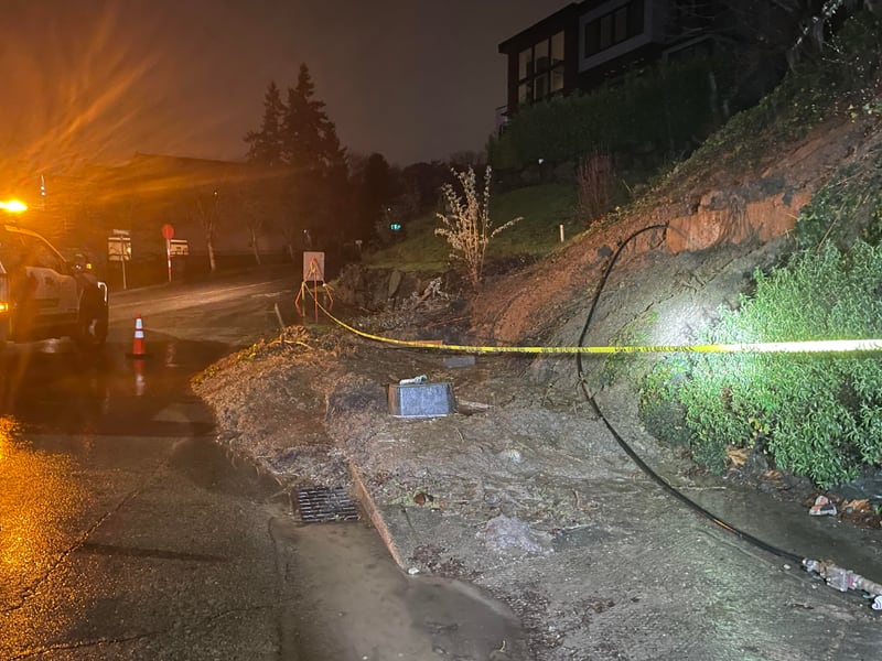 A landslide in Seattle's Leschi neighborhood came down on Lakeside Avenue near East Alder Street.