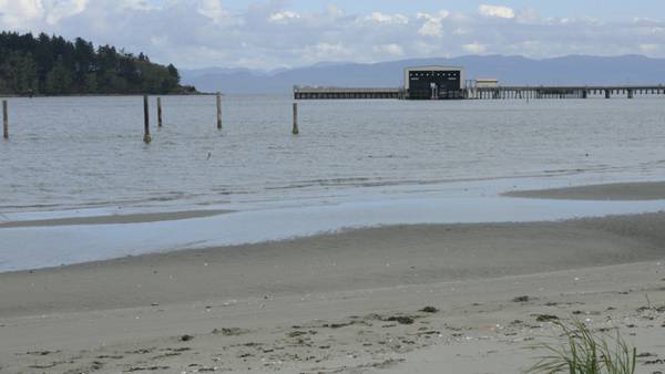 Deputies need help identifying woman whose body was found off Neah Bay