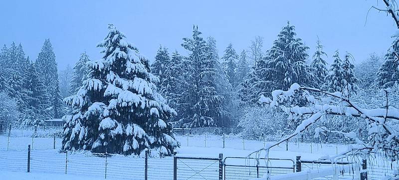 Snow in Onalaska, WA