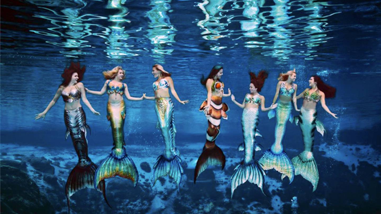 Mermaids Swim With Sharks In South Carolina Aquarium Kiro 7 News