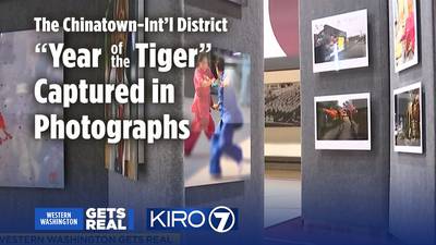 WWGR: THE CID ‘Year of the Tiger’ captured in photographs