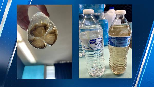 ‘Brown water’ at a Tacoma school outrages parents, students