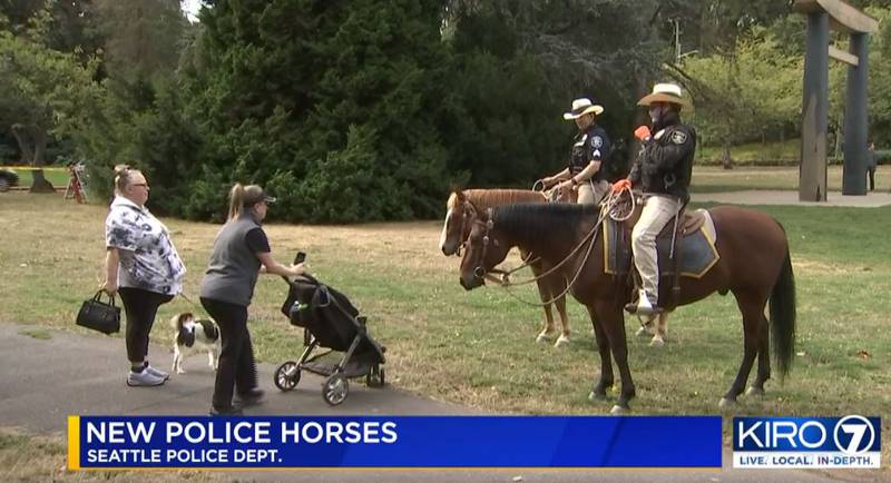SPD gets two new police horses