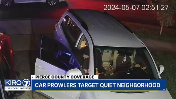 Brazen Bonney Lake car prowlers causing concern for residents