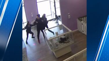 Caught on camera: Three people steal three puppies from Puppyland in Puyallup