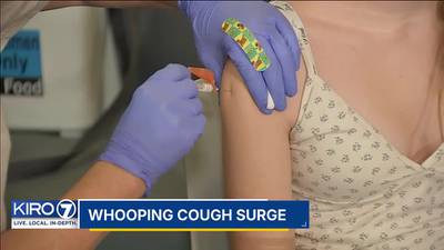 Brace yourself: Whooping cough virus surges nationwide