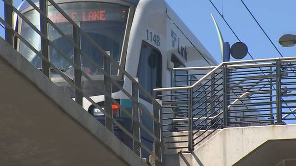 VIDEO: Woman dies after getting trapped between light rail train and platform