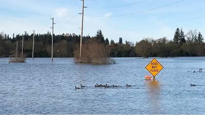 Homes, roads remain flooded after relentless rainfall drenches Western Washington