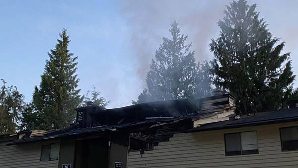 3-alarm fire at Renton apartment complex that destroyed cars, damaged building reignites overnight