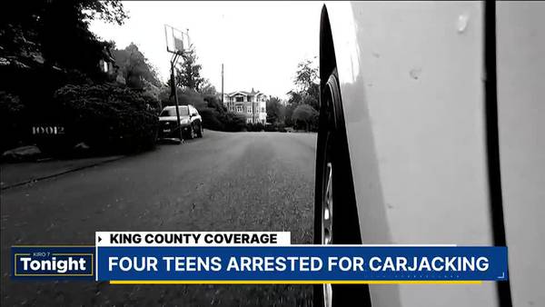 VIDEO: Four teenagers arrested in armed car-jacking in Bellevue