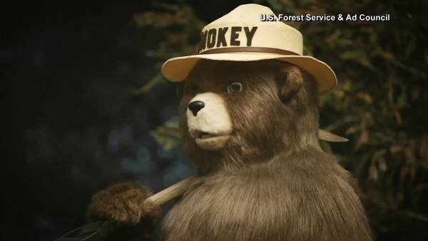 Push for ‘Smokey Bear’ license plate to launch with signature campaign
