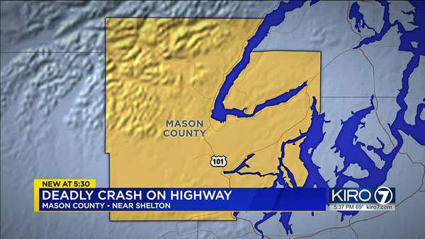 VIDEO: Deadly crash on highway near Shelton