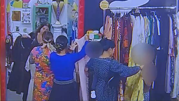 Warning issued after family of shoplifters hit West Seattle stores