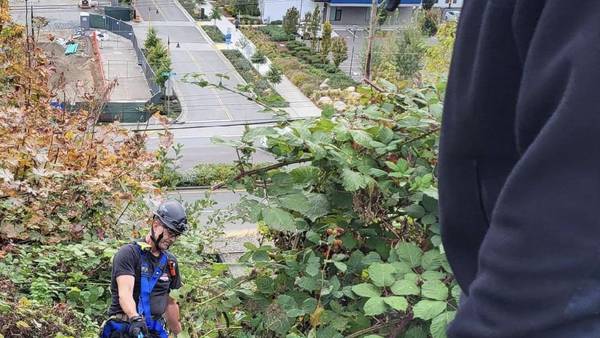 Everett firefighters rescue man trapped in blackberry bushes on embankment