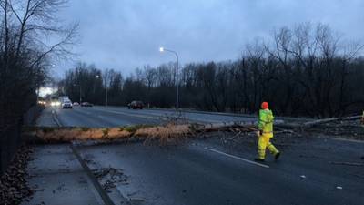 Windstorm topples trees, closes highways, cuts power to thousands