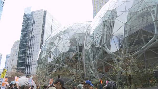 ‘They don’t care about our safety:’ Kentucky Amazon workers fly to Seattle to protest