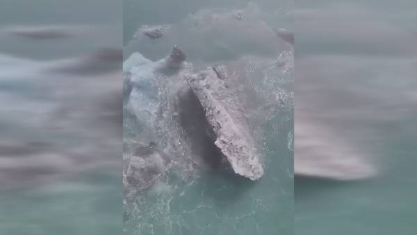 VIDEO: Norwegian Sun cruise ship slams into iceberg off Alaska coast