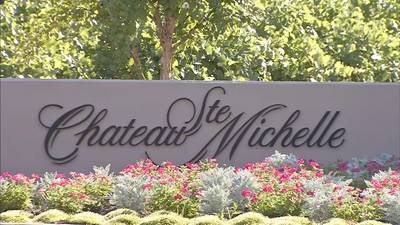Chateau Ste. Michelle winery puts Woodinville property up for sale