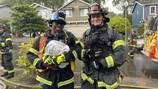 Pets rescued in Kent house fire