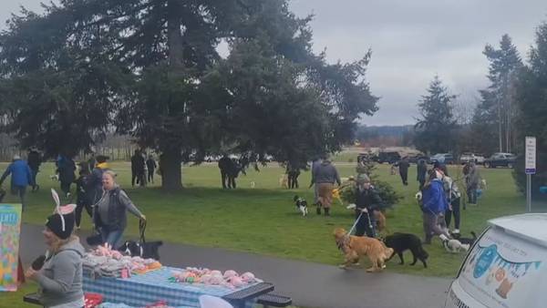 Seattle Barkery hosting dog ‘Easter B’egg hunt’