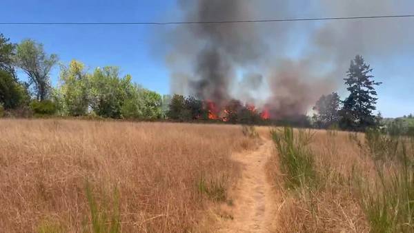 RAW: Fort Steilacoom Park fire