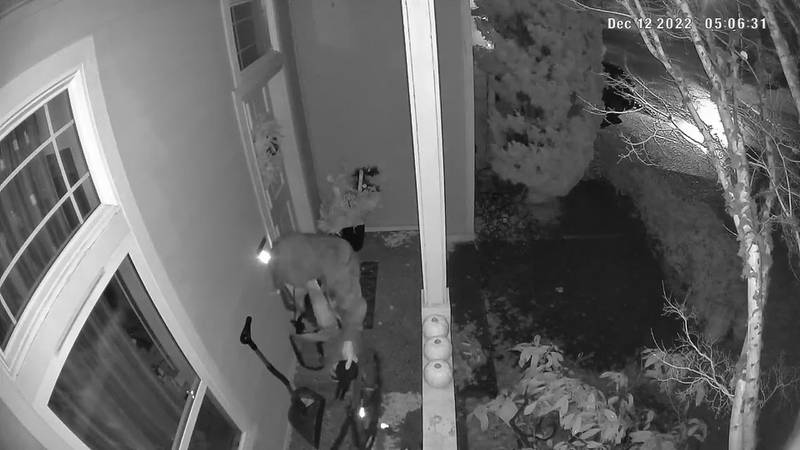 Kenmore Police Seek Pair Of Porch Pirates Kiro 7 News Seattle 1426