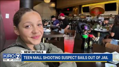Family of mall shooting victim ‘disappointed and disgusted’ that the suspect is out of jail