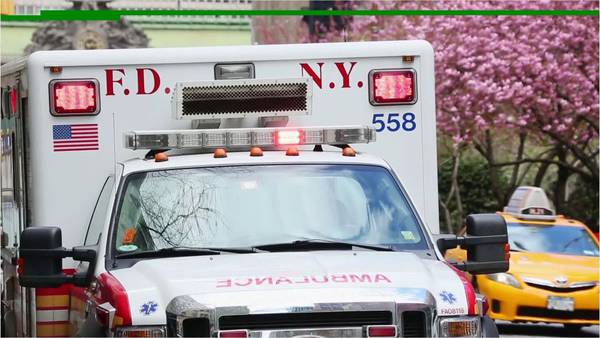 Police: Grandmother killed, 4 injured as driver flees from NYC police