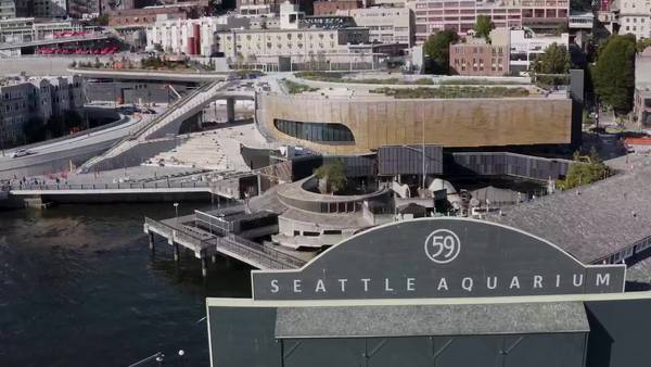 Seattle Aquarium's Ocean Pavilion - Drone