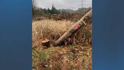 Customers to pay for $100k damage after King County power lines, equipment were ‘sabotaged’