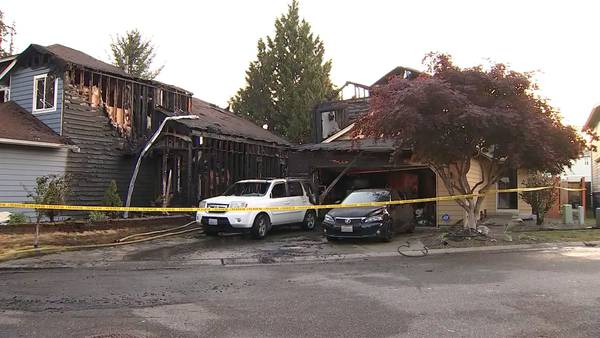Two homes damaged, at least 1 dog dead in Smokey Point fire