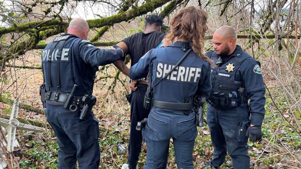 Deputies arrest assault suspect after chase through Pierce County in stolen car