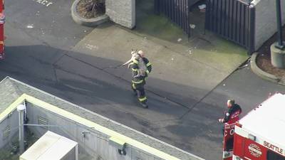 PHOTO: Fire breaks out at North Seattle dog day care
