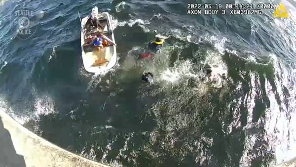 VIDEO: New video shows rescue on choppy Lake Washington waters