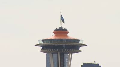Seattle Kraken on X: Playoff beards, @train & and a #SeaKraken flag  hoisted upon the Space Needle! Seattle & @SEAbuoy are ready for the  #StanleyCup playoffs 😤  / X