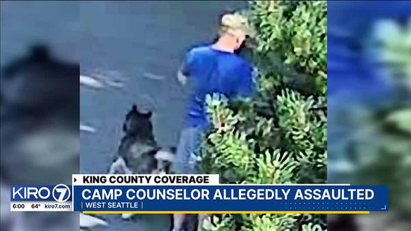 Seattle camp counselor allegedly attacked by dog owner