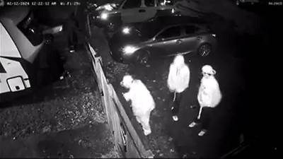Lynnwood police ask for help identifying graffiti suspects