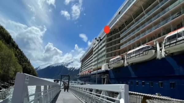 VIDEO: Coast Guard looking into how woman fell from cruise ship