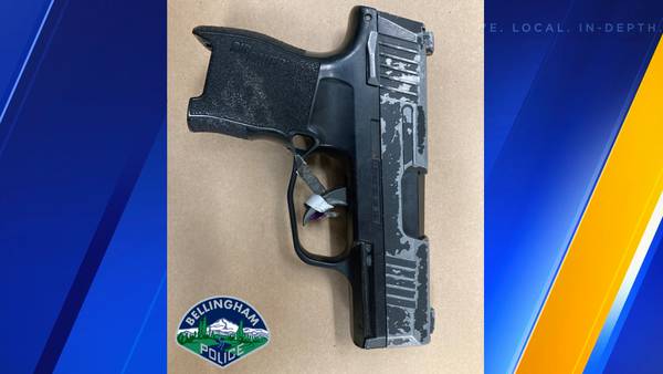 Arrested: Fleeing Bellingham man causes chaos when he points Airsoft gun at officer, drivers