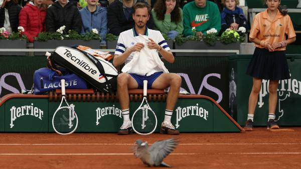 Eagle-eyed chair umpire rescues pigeon during French Open match
