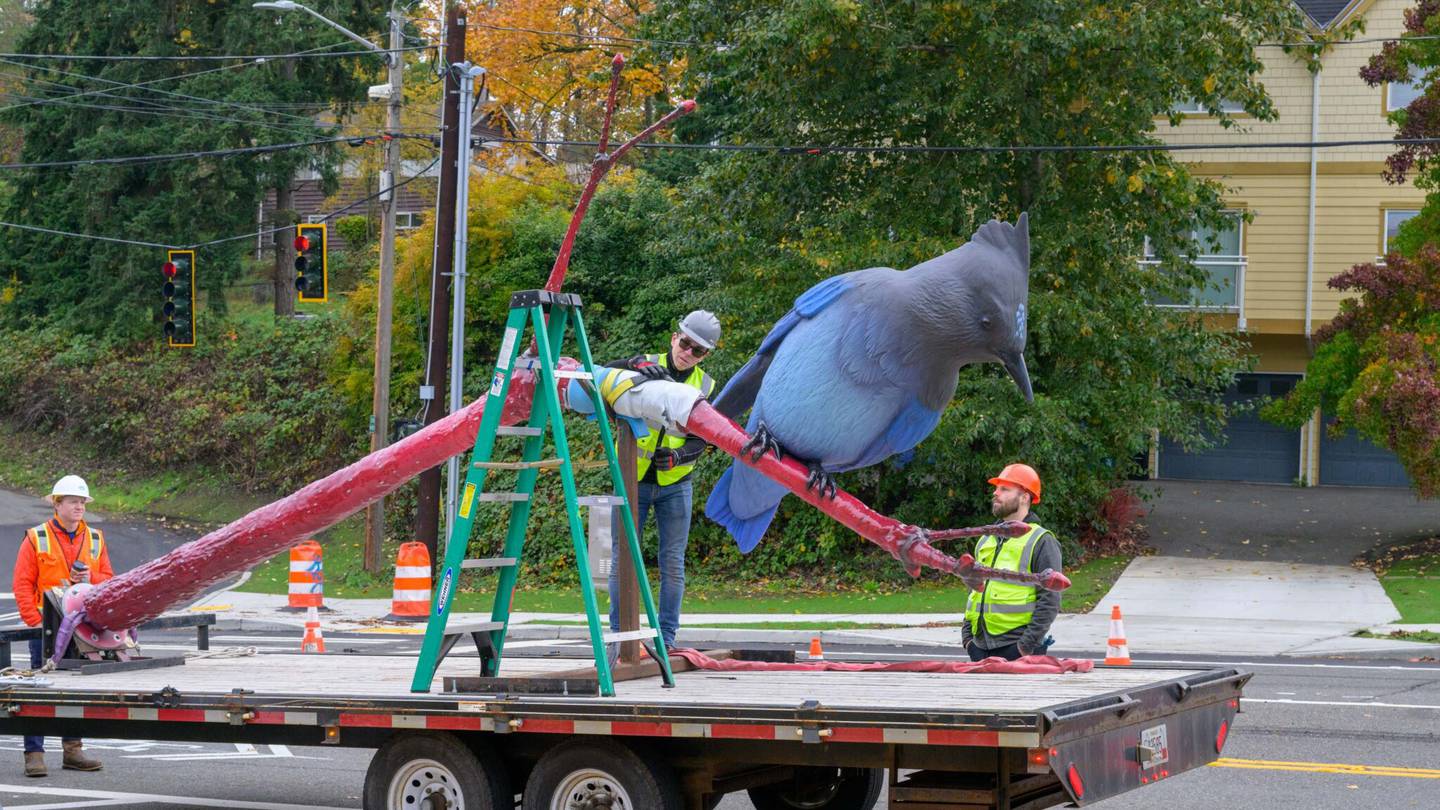 鸟类观察者注意！在西雅图寻找一只身长17英尺的斯特拉蓝鸟