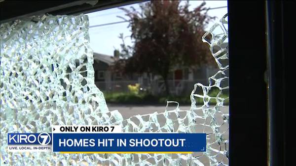 Homes Hit in Shootout