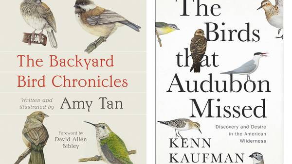 Book Review: Novelist Amy Tan shares love of the natural world in 'The Backyard Bird Chronicles'