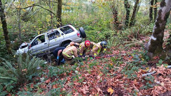 SUV drives off the road, 25 feet down into embankment in Dupont