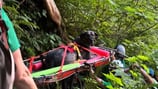 Washington State Animal Response Team rescues Great Dane from trail
