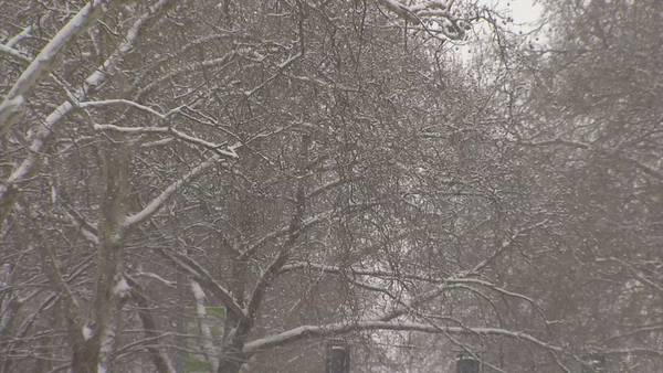 VIDEO: Power companies working to prevent future outages in snow