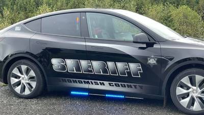 Deputies say report of car stolen in Everett with baby in back seat was false