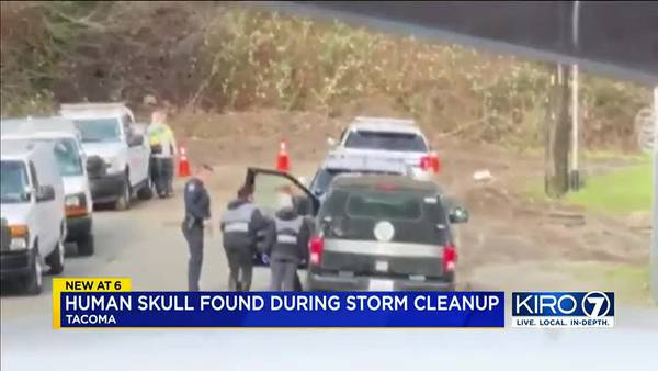 Human skull found during cleanup of mudslide